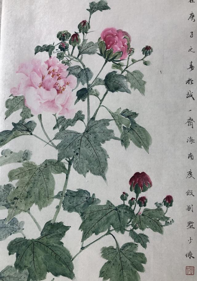 钟情之鸟——斑鸠