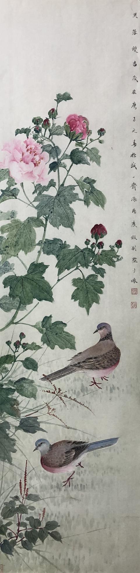 钟情之鸟——斑鸠