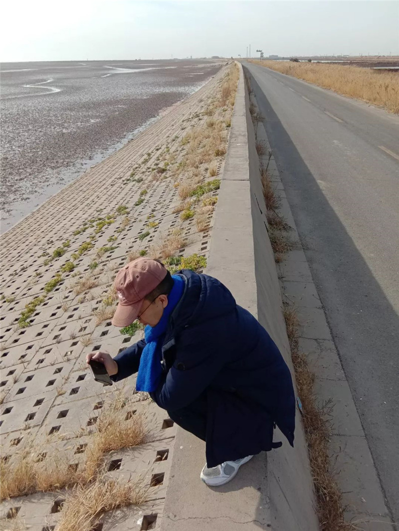 0013.jpg