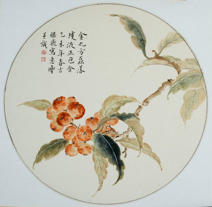 《枇杷语》